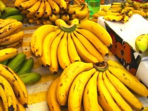 150 mil quilos de banana serão adquiridos pelo município. Foto: Divulgação