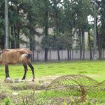 Serra Bela Clube