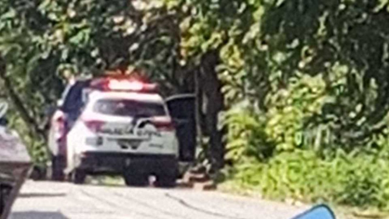 Corpo de mulher nua é encontrado dentro de mata na Serra