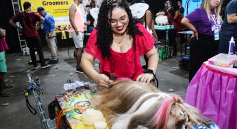 Feira de pets chega a Serra com novidades, batalha de tosa e feira de adoção